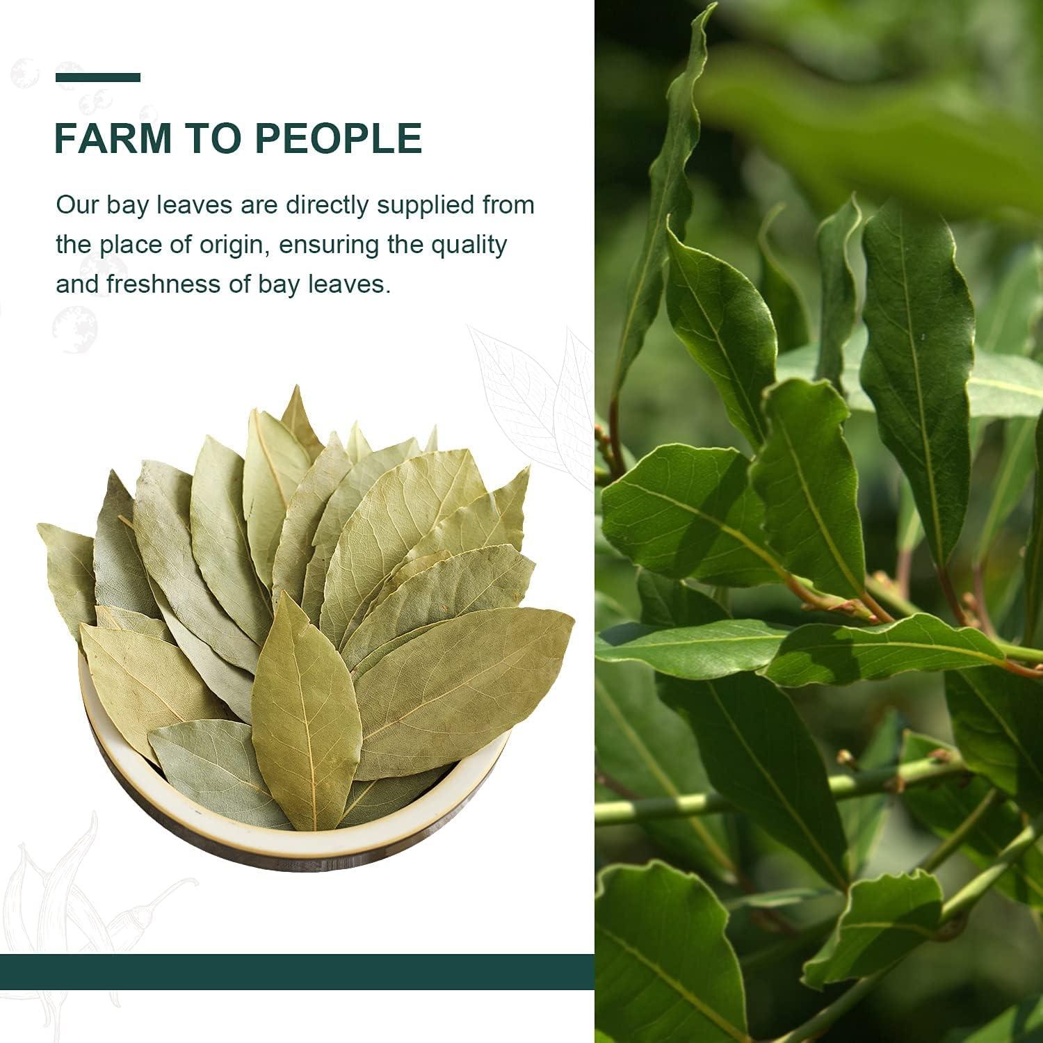 Soeos Whole Bay Leaves 2oz, Dried Laurel, Non-GMO Verified, Herb for Marinades, Stews and Soups