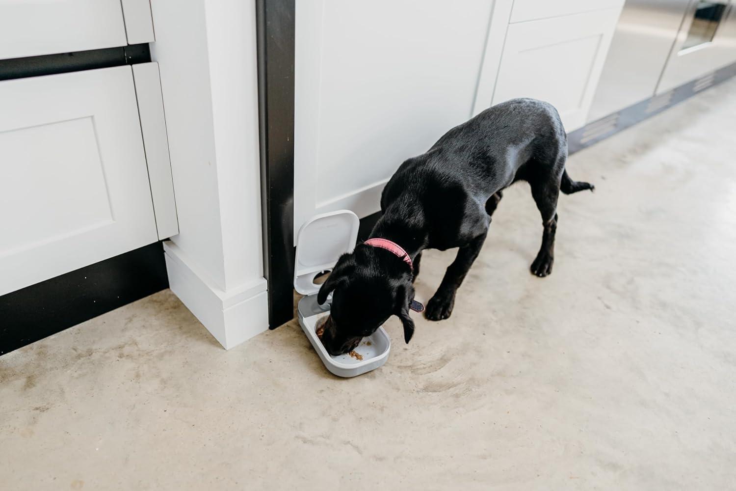 Cat Mate Single Meal Automatic Pet Feeder, BPA-Free, Fly-Proof, Holds 14 oz. of Wet Food