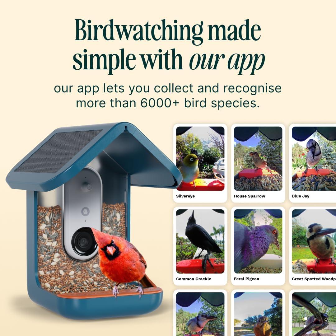 Bird Buddy Smart Bird Feeder with Camera and Solar Roof: Weather-Resistant, Hanging or Pole Mount