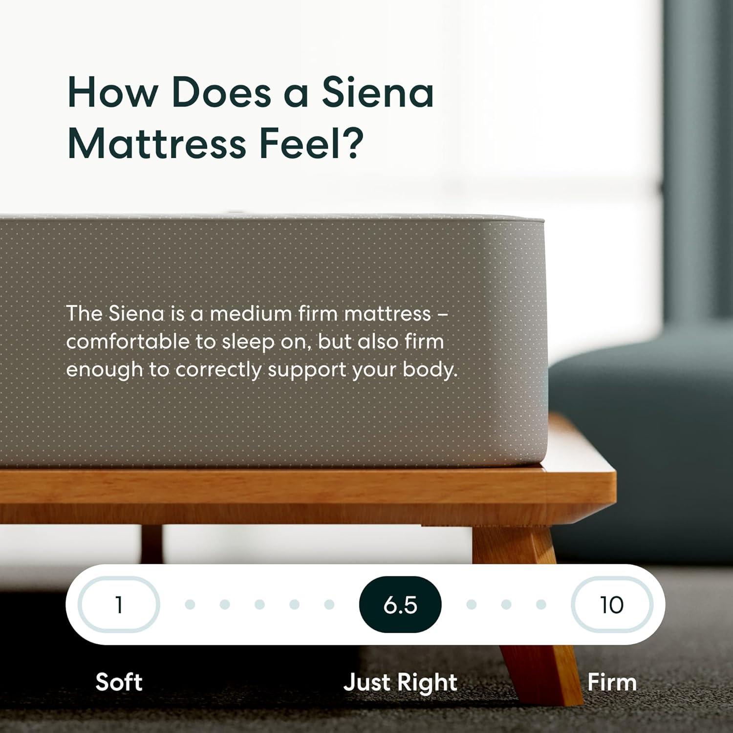 Siena 6" Queen Foam Mattress - Medium Firm - 180 Night Trial - Premium Pressure-Relieving Layers - 10 Year Warranty - Mattress in a Box - CertiPUR-US Certified
