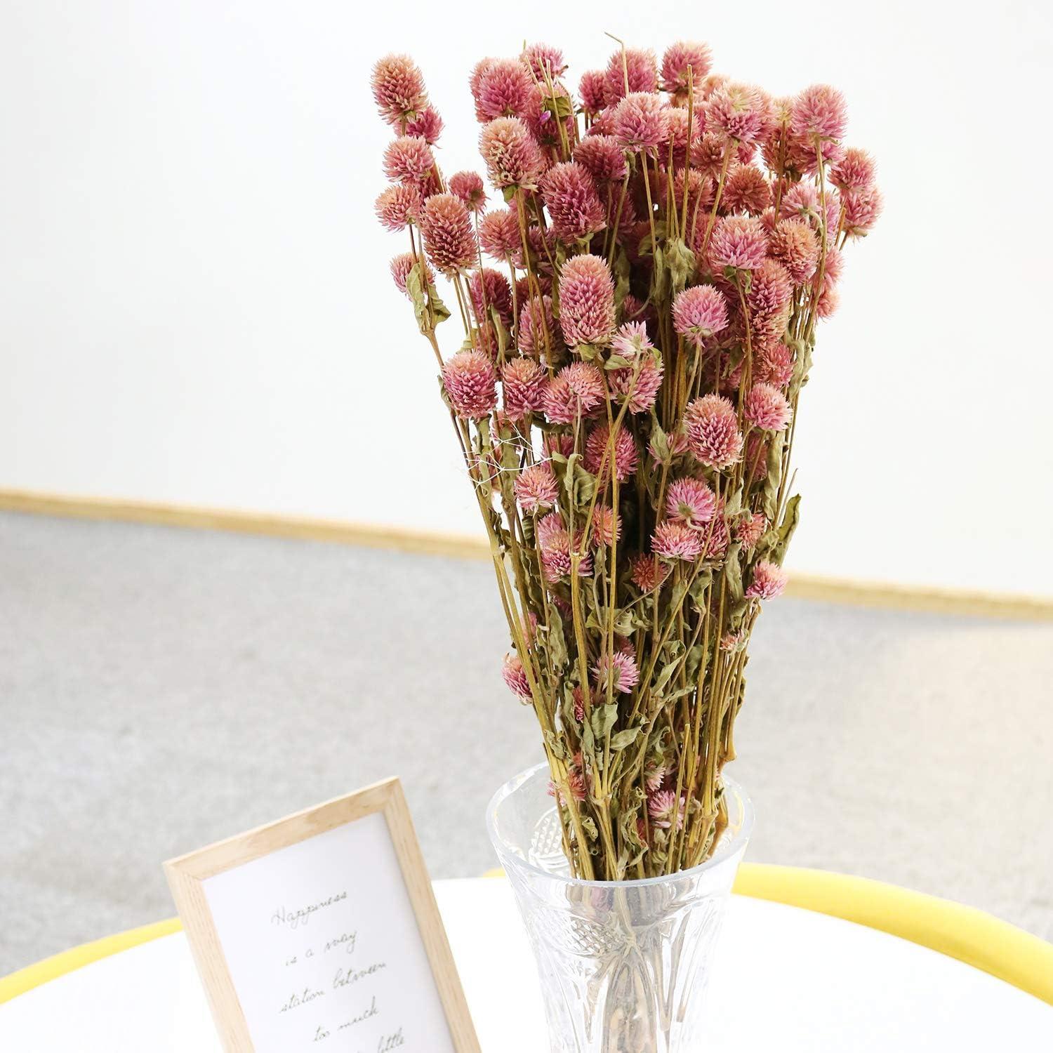 Pink Dried Globe Amaranth Flower Bundle for Home Decor