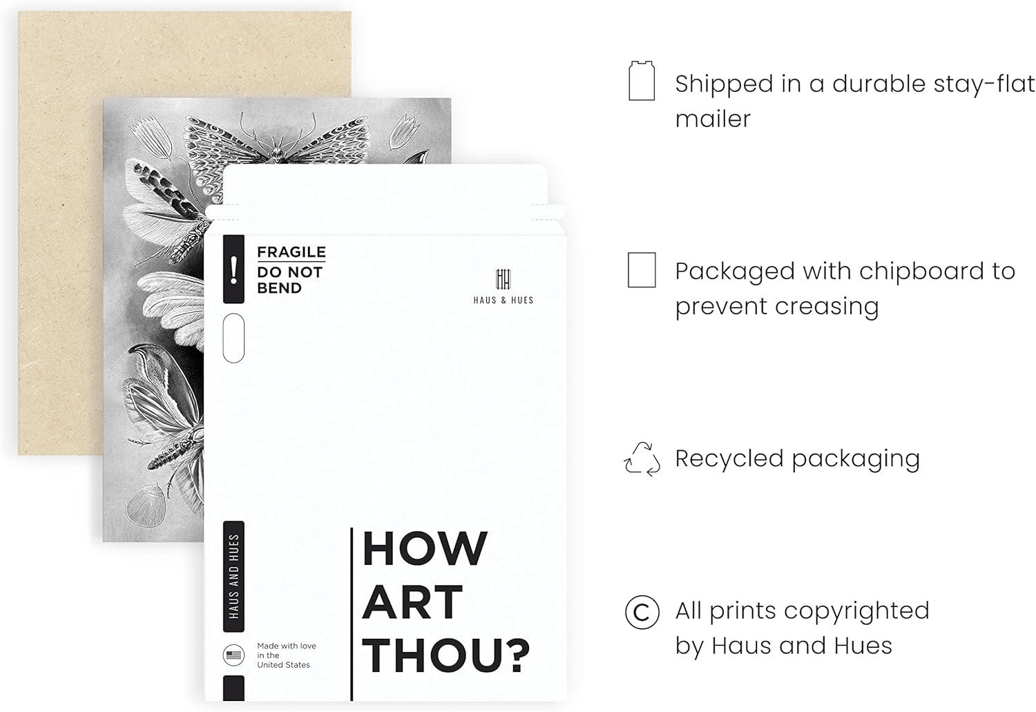 HAUS AND HUES Haeckel Prints Gothic Wall Decor - Goth Room Decor Aesthetic Witch Poster, Witch Art & Wiccan Wall Decorations, Creepy Drawings, Goth Wall Art, Witchy Wall Decor UNFRAMED 12"x16"