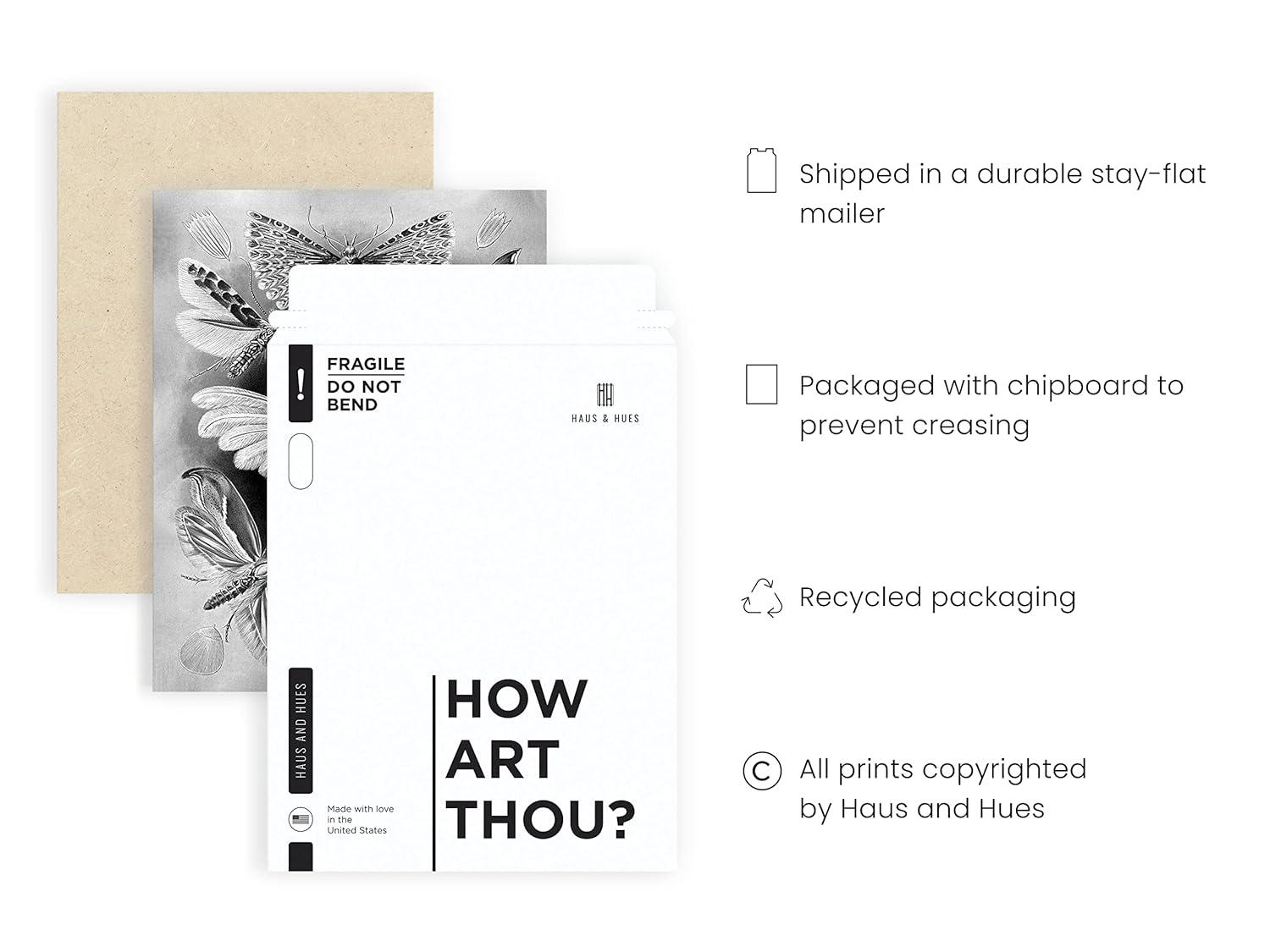 HAUS AND HUES Haeckel Prints Gothic Wall Decor - Goth Room Decor Aesthetic Witch Poster, Witch Art & Wiccan Wall Decorations, Creepy Drawings, Goth Wall Art, Witchy Wall Decor UNFRAMED 12"x16"