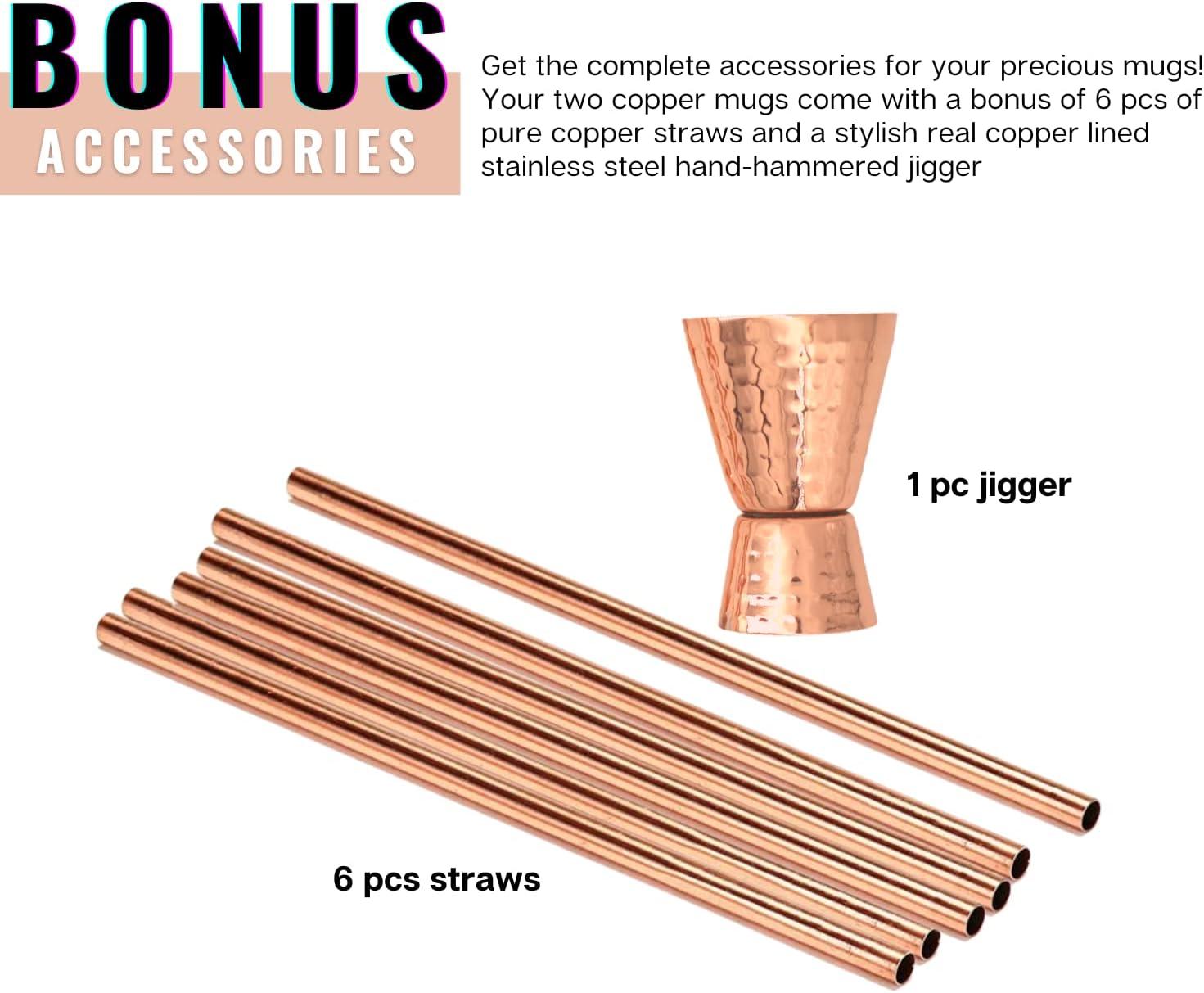 Kitchen Science Moscow Mule Mugs, Stainless Steel Lined Copper Moscow Mule Cups Set of 6 (18oz) w/ 6 Straws, 1 Jigger, 1 Spoon & 1 Brush | New Thumb Rest & Tarnish-Resistant Stainless Steel