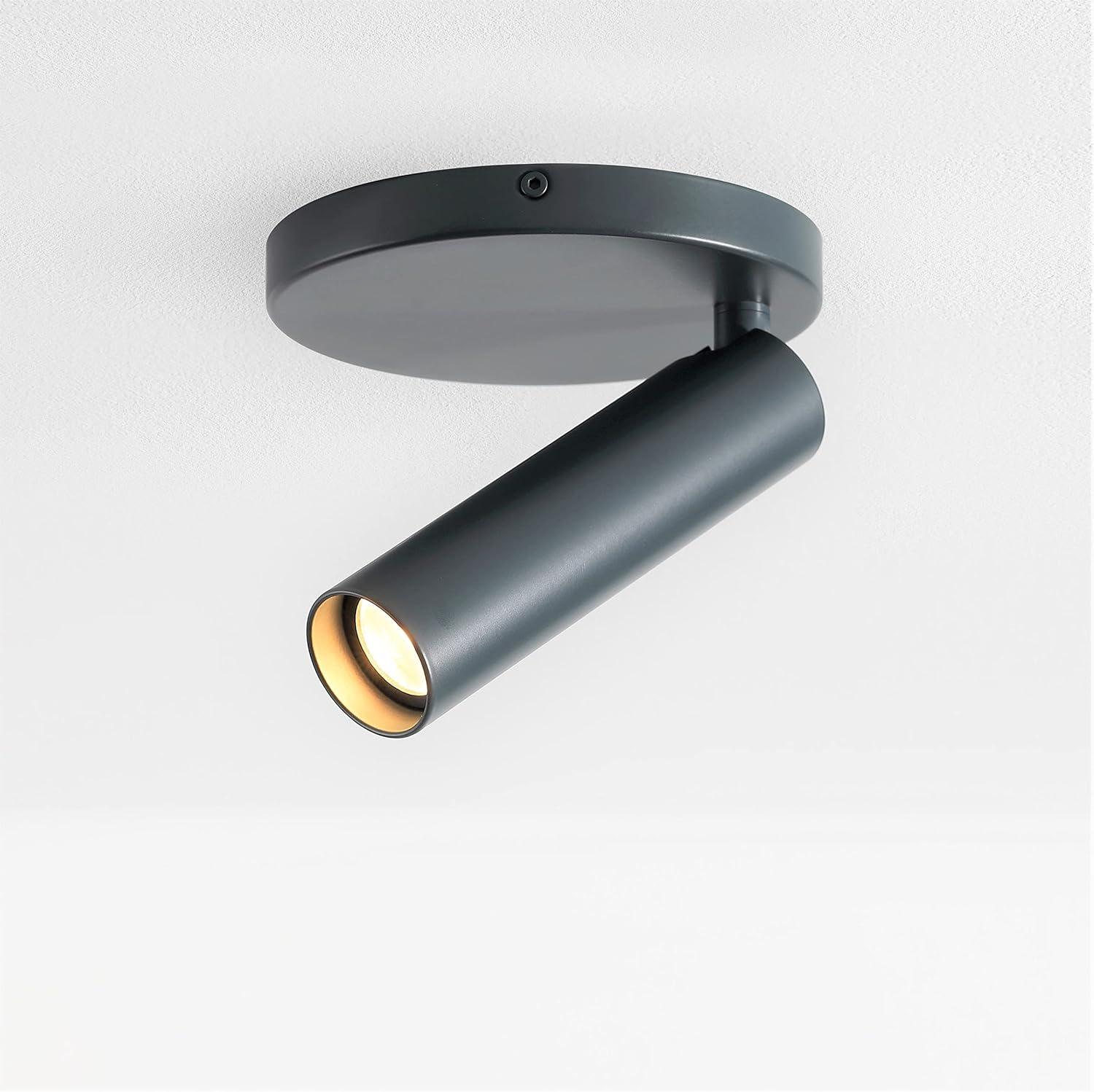 VidaLite Karpo Pinhole LED Spotlight Gray: Adjustable Head, Wall or Ceiling Mount, Integrated LED, UL Listed