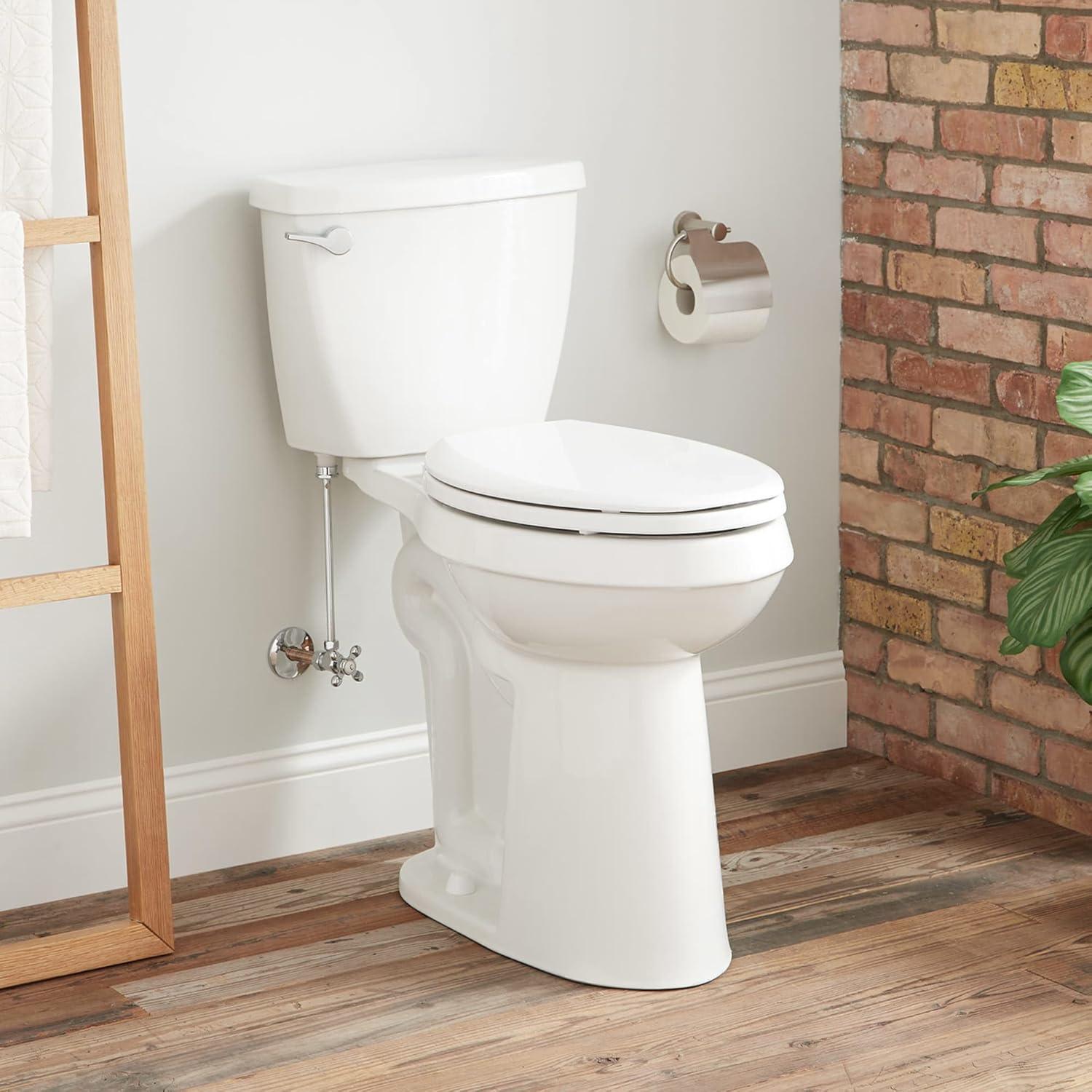 Bradenton 21" High Gloss-enameled Porcelain Two-Piece Elongated Toilet