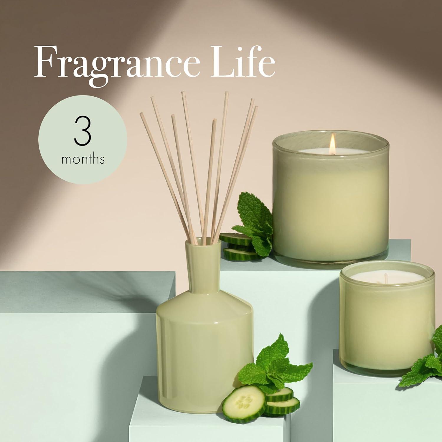 LAFCO New York House & Home Reed Diffusers And Sticks