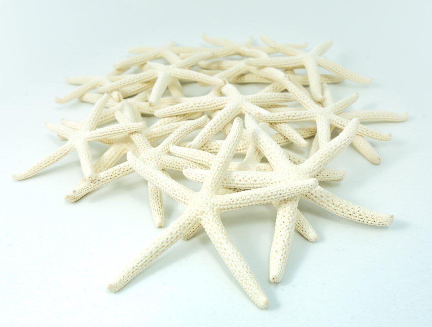 Starfish | 6 White Finger Starfish 3"-4" | Home Decor Art & Crafts