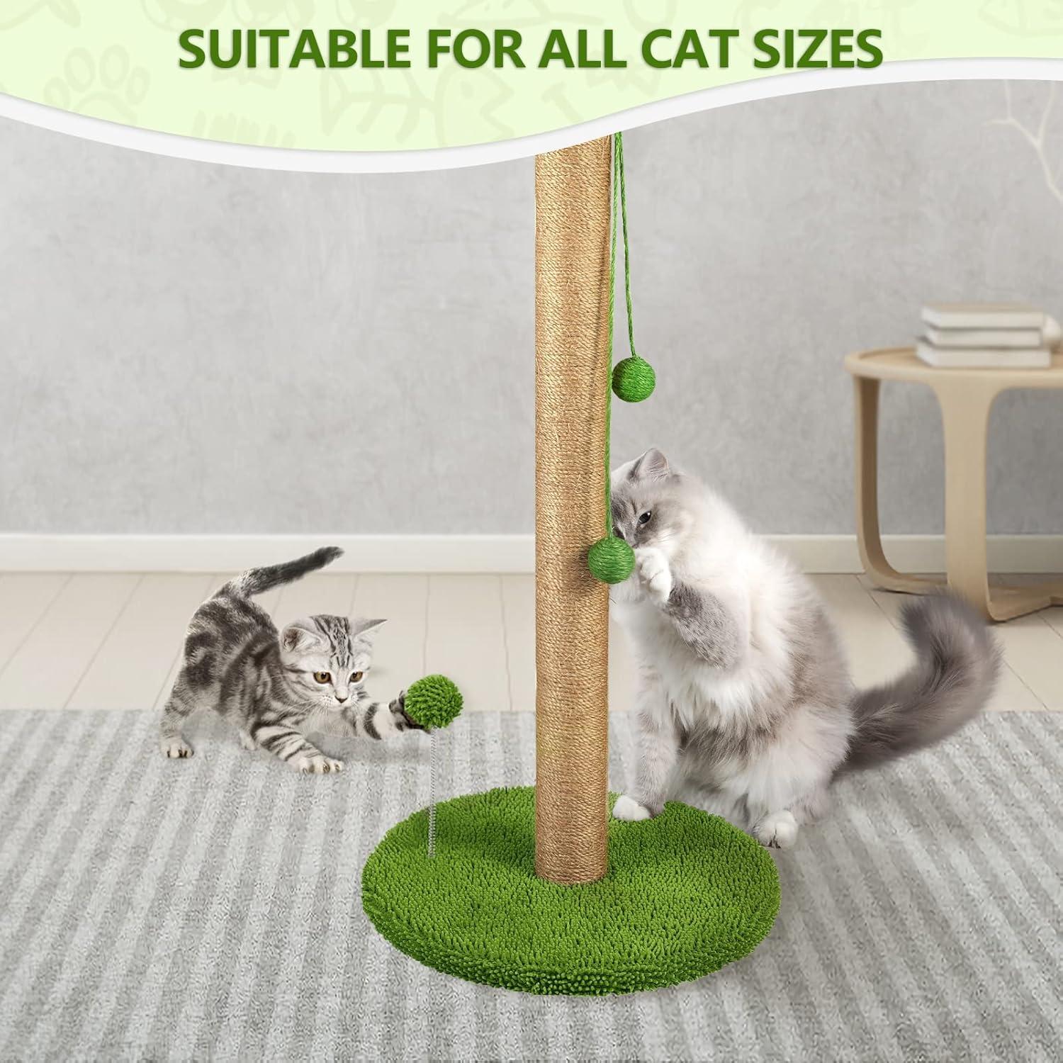 Dohump Cat Scratching Post, 26" Kitten Scratching Post with Premium Sisal Rope, Cute Cat Tree with Dangling and Spring Ball Toys for Indoor Small Cats