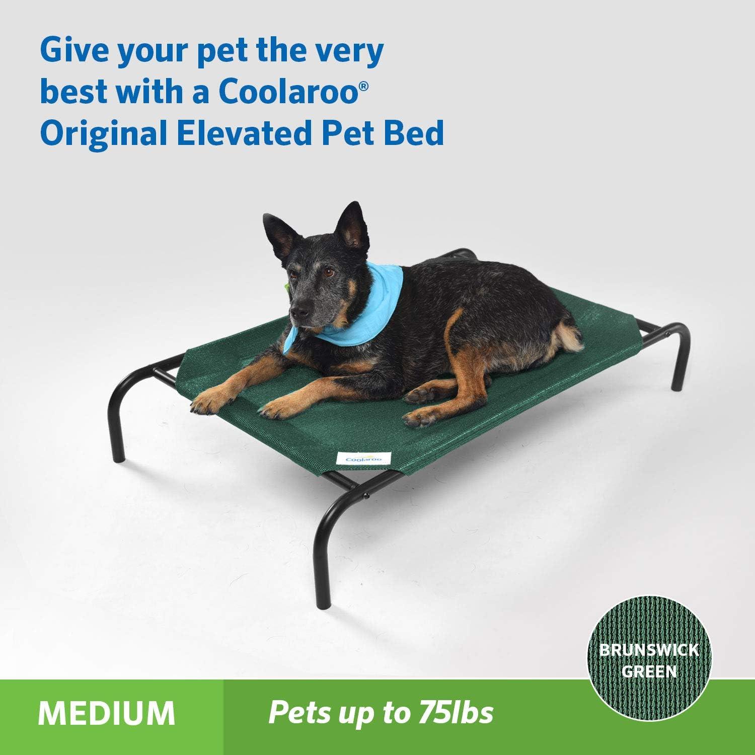 The Original Coolaroo Elevated Pet Dog Bed for Indoors & Outdoors, Medium, Green