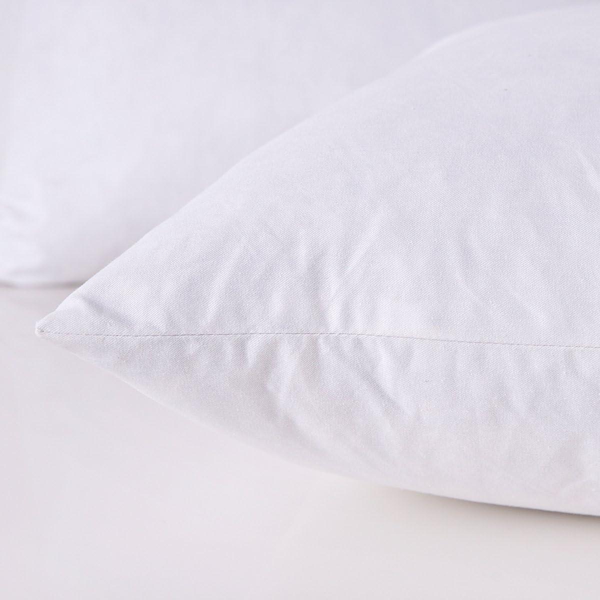Phantoscope 12" x 20" Reversible Pillow Inserts (Set of 2)