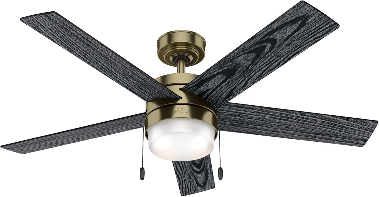 52" Claudette 5 - Blade LED Standard Ceiling Fan with Pull Chain and Light Kit Included