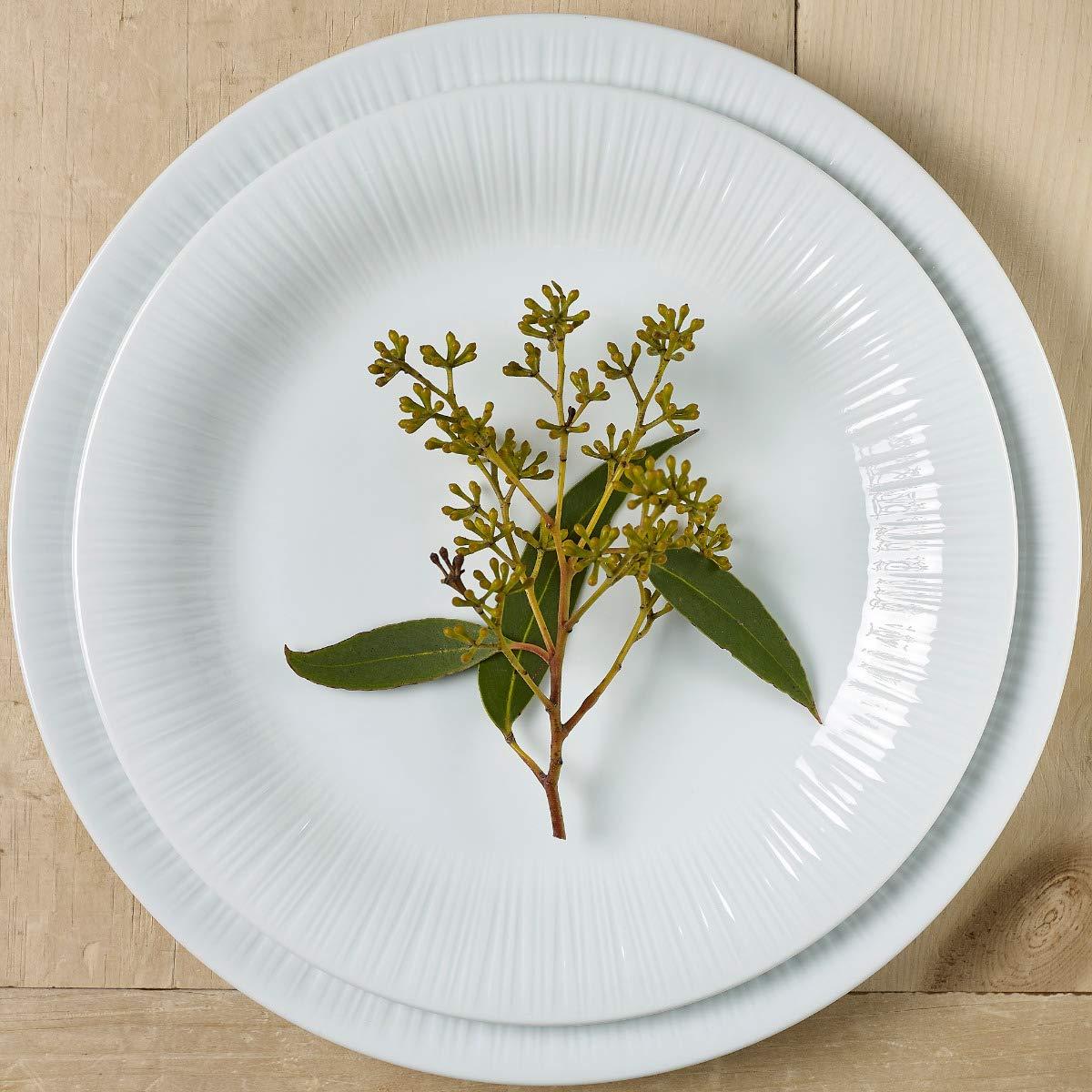 Noritake Noritake Conifere 24-Piece Dinnerware Set, Service for 6