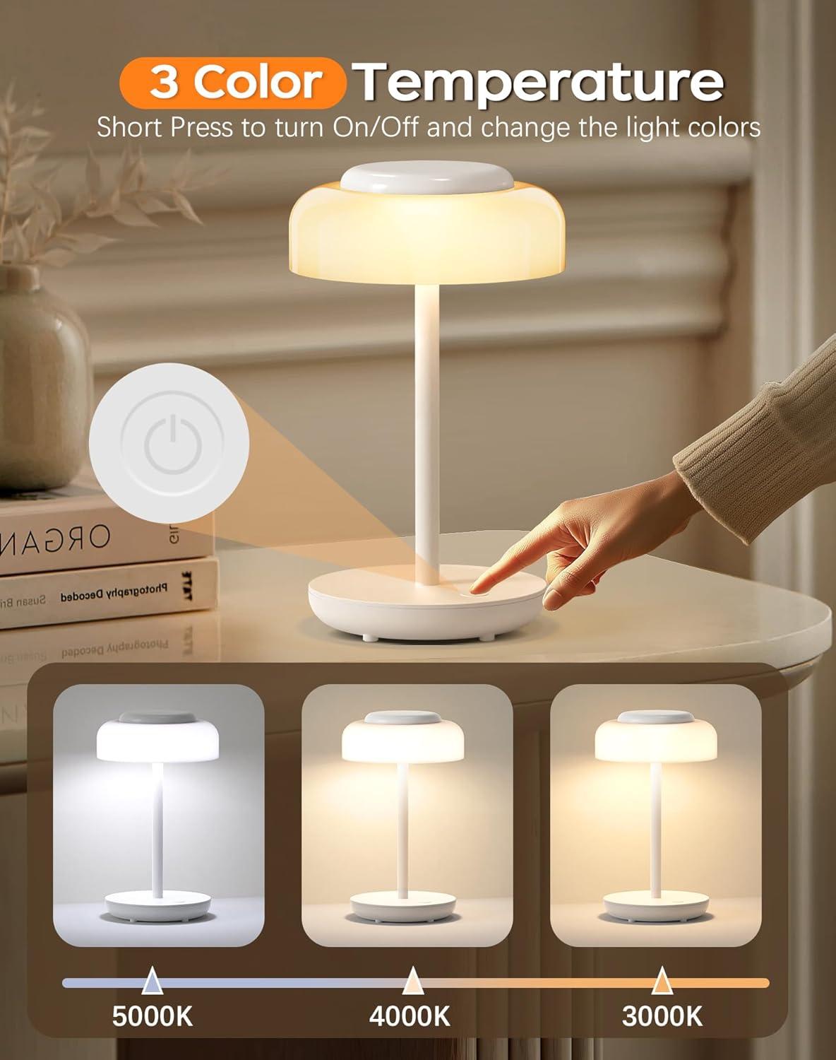 Mercer41 Urien Lamp (Set of 2)
