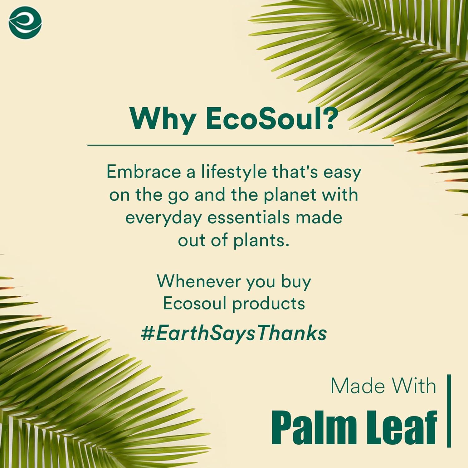 Ecosoul Home - Palm Leaf Plates 8 In Sqr - Case Of 8-20 Ct