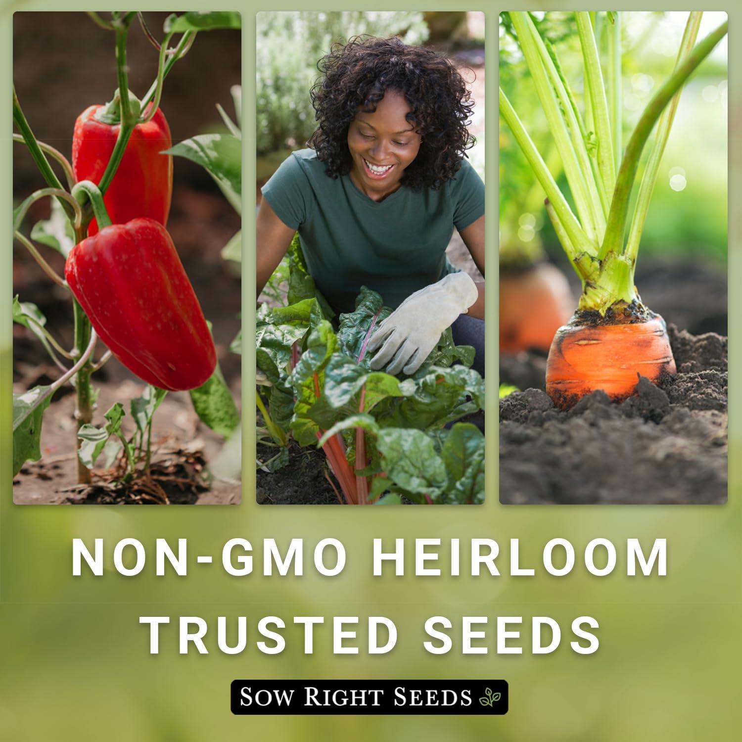 Exotic Vegetable Garden Seed Collection - Non GMO Varieties - 10 Count