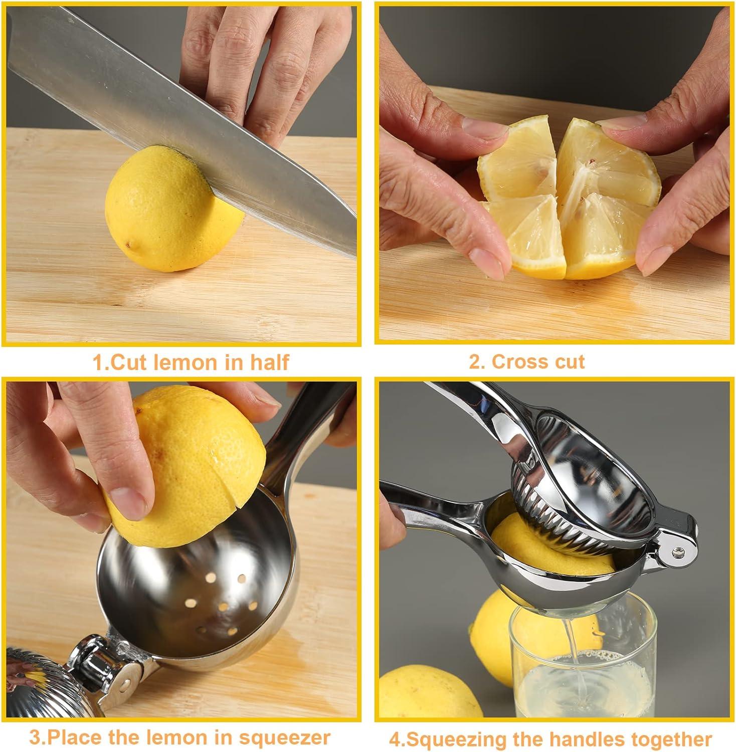 Large Stainless Steel Manual Citrus Juicer with Long Handle