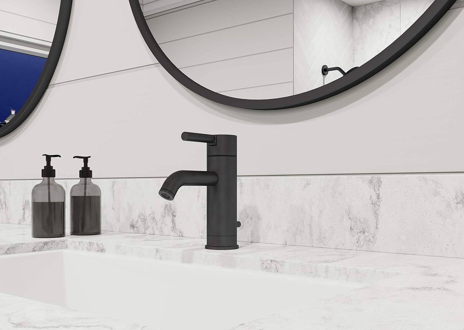 Contempra Single Hole Bathroom Faucet with Drain Assembly