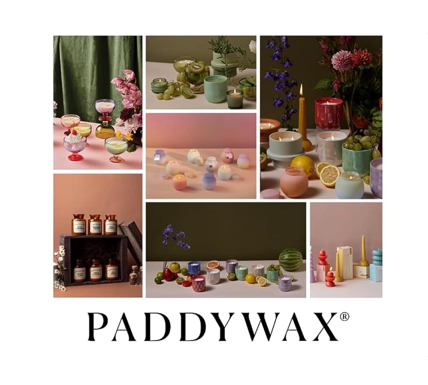 Paddywax Scented Candles Coastal La Playa Collection Artisan Candle in Hand-Blown Glass, 9 Ounces, Amber + Coconut