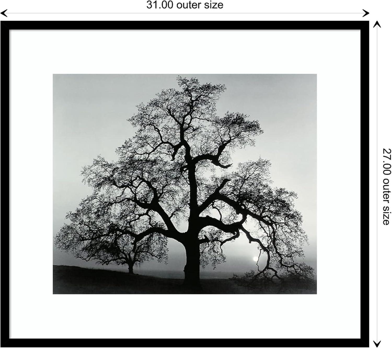 Black Wood Framed Landscape Photography Print, 31" x 27"