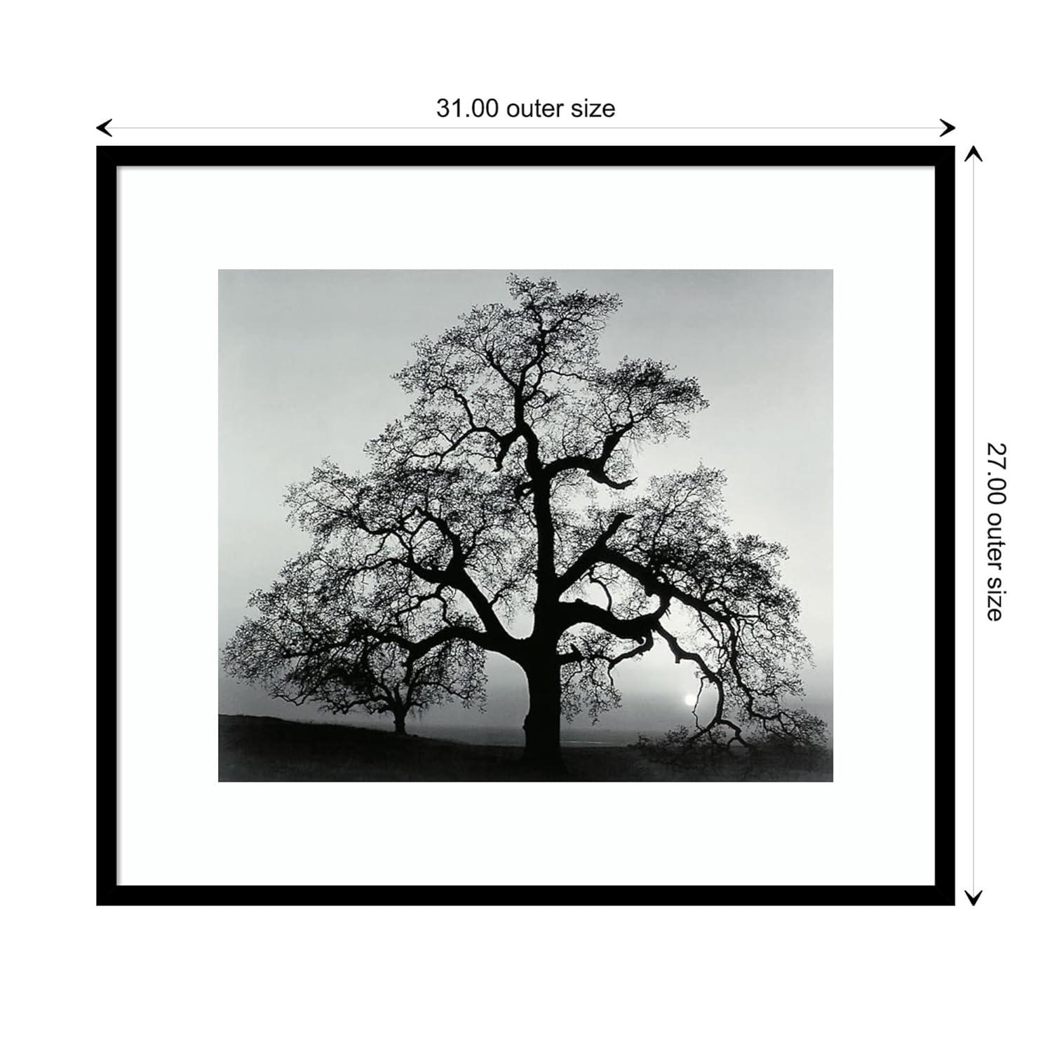 Amanti Art Framed Wall Art Print 27x31 Oak Tree Sunset City California 1962 by Ansel Adams, Landscapes Wall Art, Museum Masters Decor, Large Poster Painting Artwork for Living Room, Bedroom, Bathroom