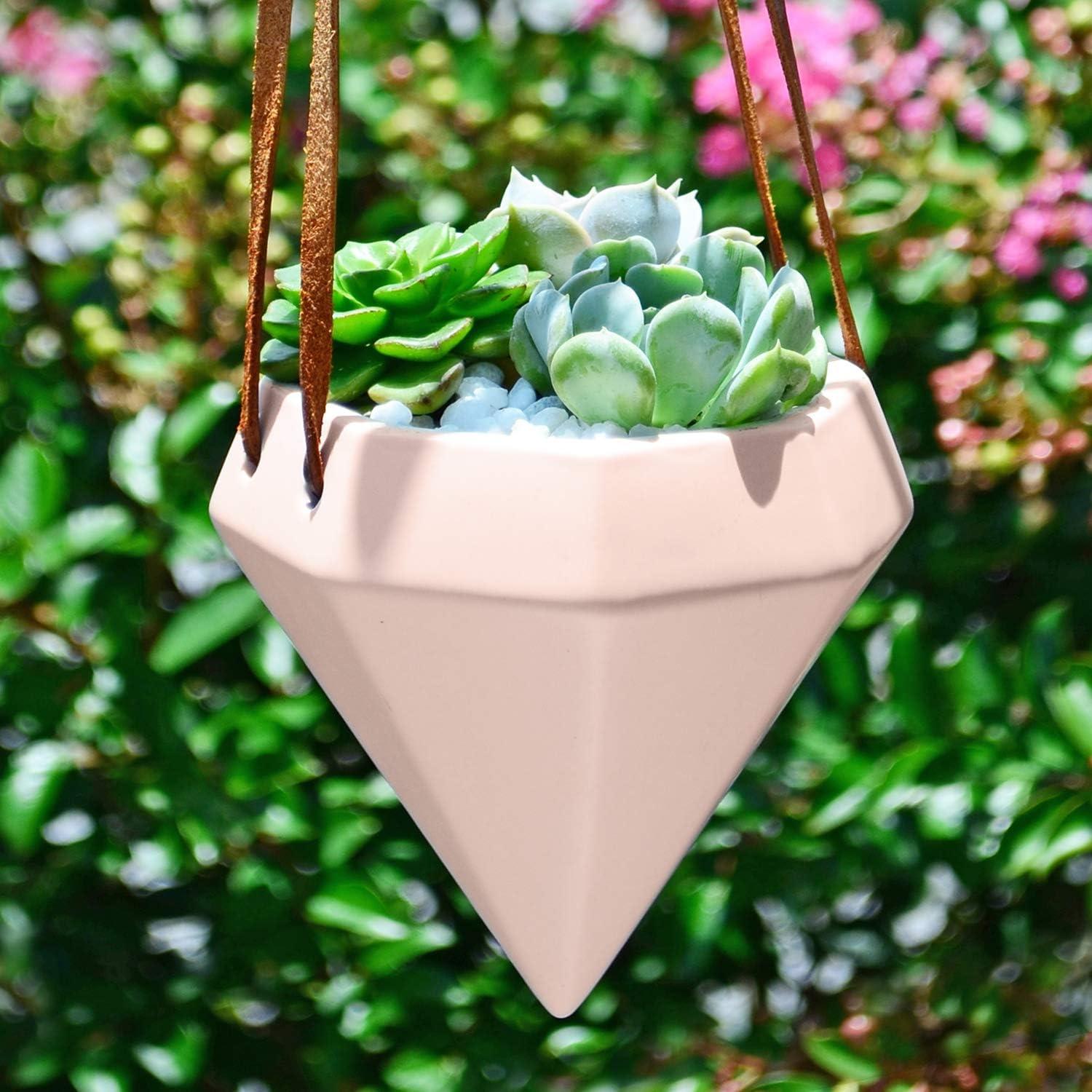 Guilford Ceramic Hanging Planter