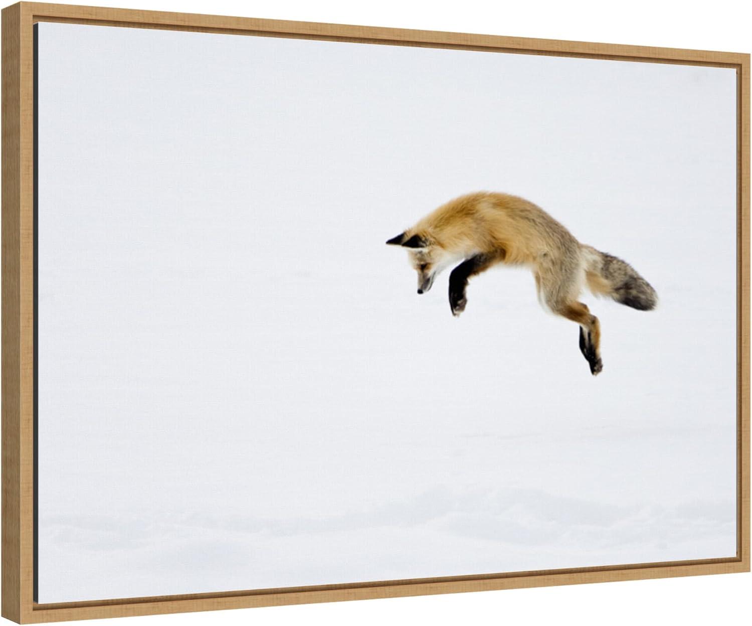 Amanti Art 23" x 16" Red Fox in Snow by Deborah Winchester Danita Delimont Framed Canvas Wall Art : Yellowstone Wildlife Scene