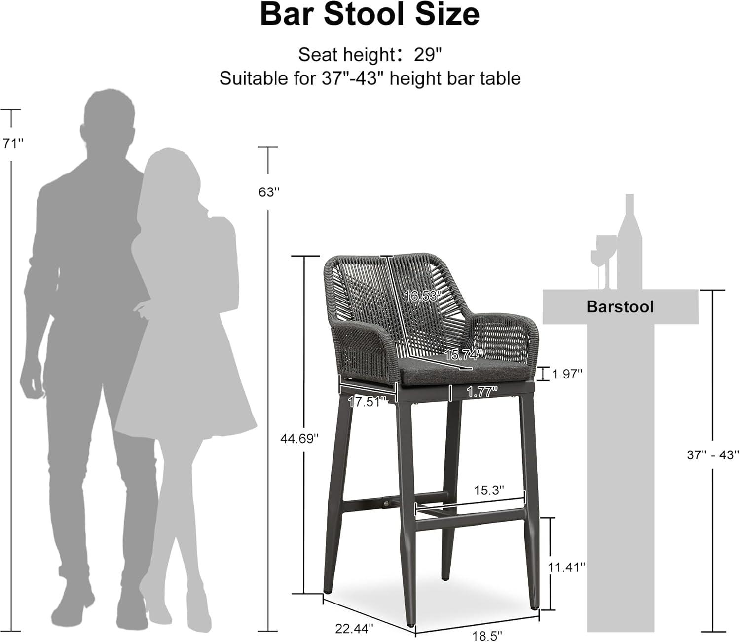 PURPLE LEAF Outdoor Wicker 29" Bar Stools Set of 2, Boho Patio Bar Height Chair with Cushion and Back for Outdoor and Indoor, Garden, Patio, Smoke Grey