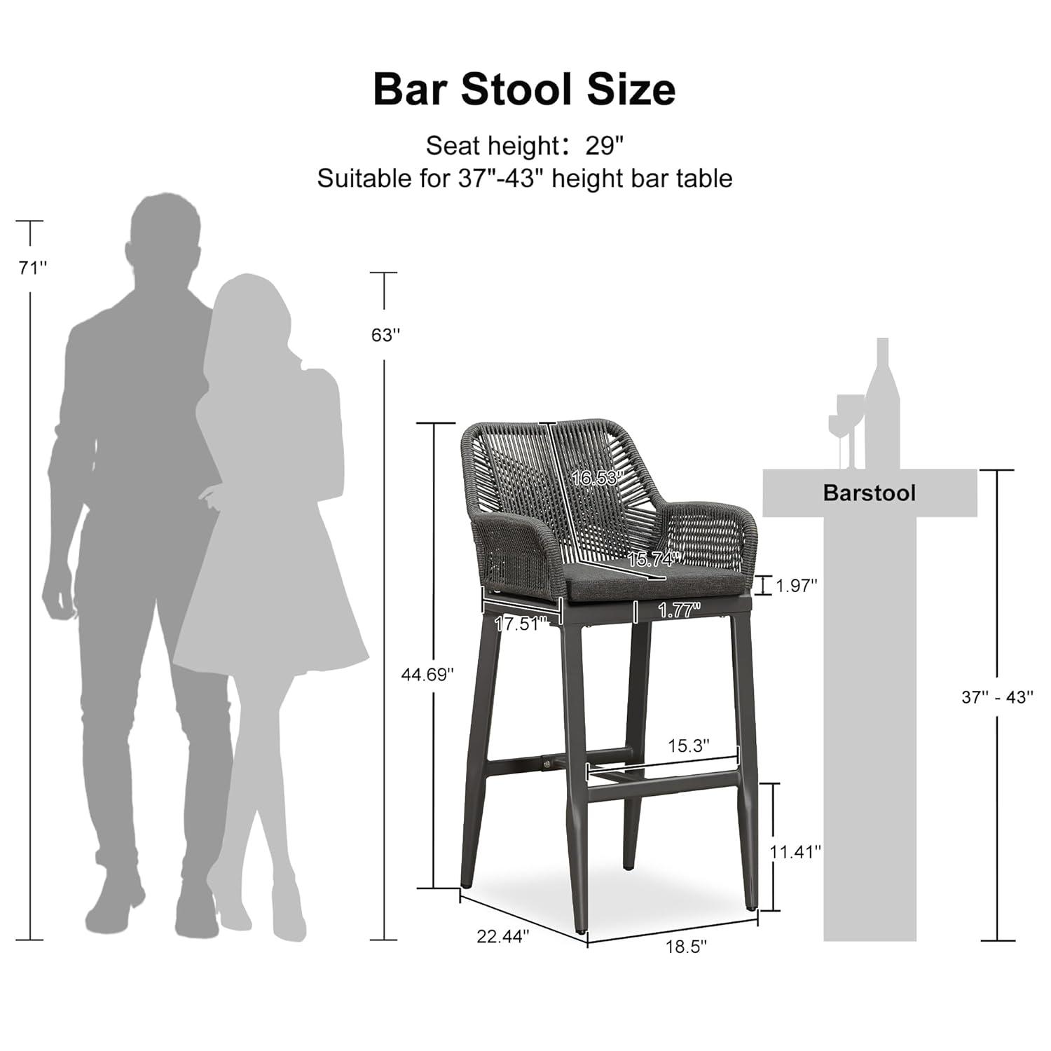 PURPLE LEAF Outdoor Wicker 29" Bar Stools Set of 2, Boho Patio Bar Height Chair with Cushion and Back for Outdoor and Indoor, Garden, Patio, Smoke Grey