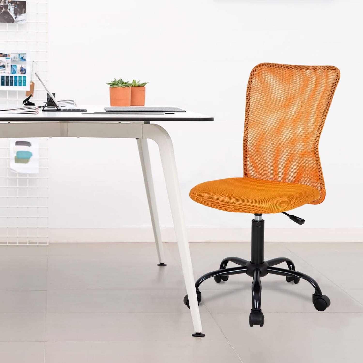 FDW Home Office Chair Mid Back Mesh Desk Chair Armless Computer Chair Rolling Swivel Chair with Lumbar Support