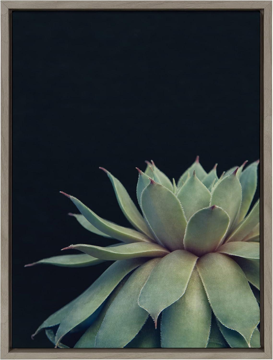 Gray Framed Succulent Canvas Wall Art, 18x24