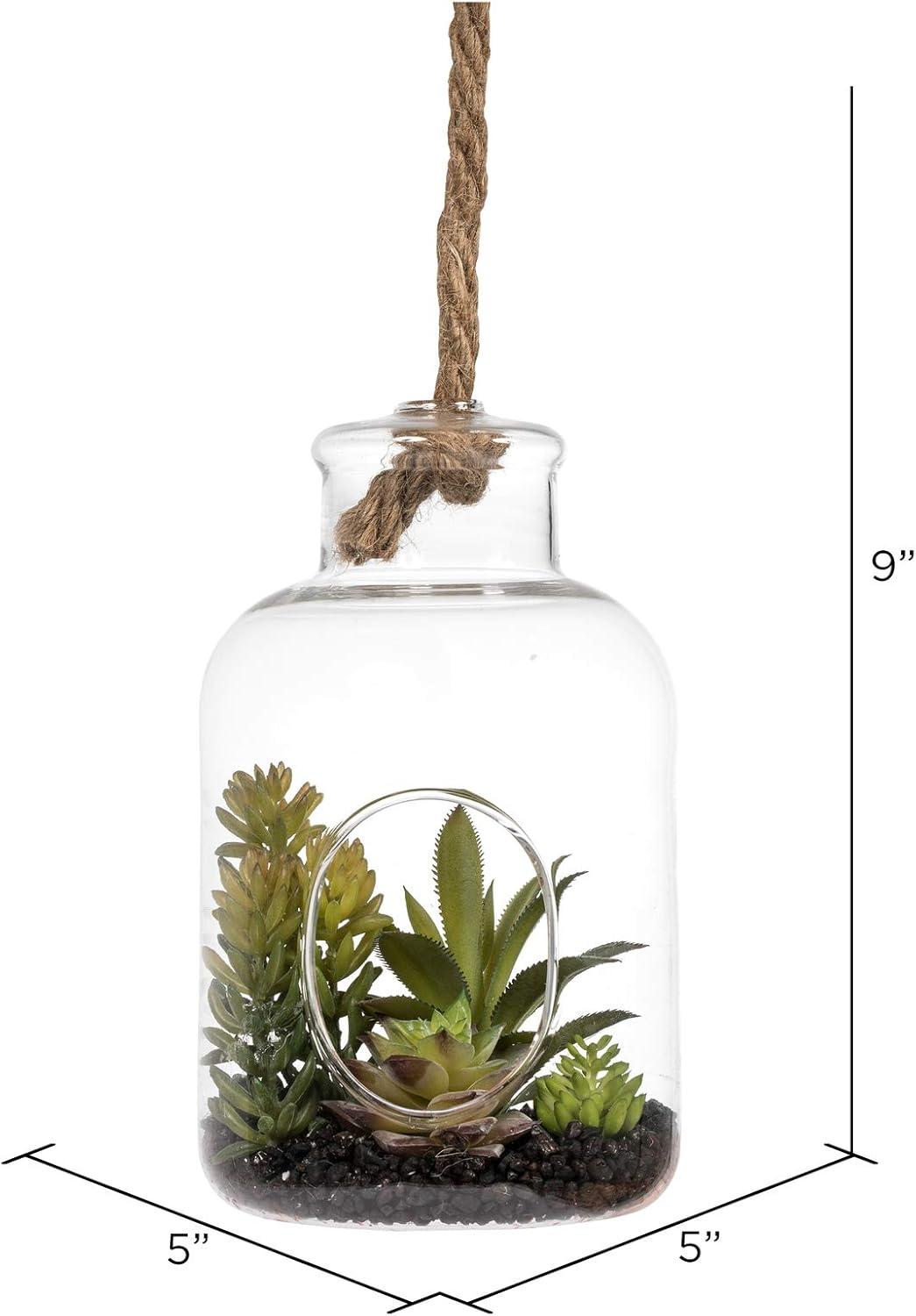 Modern Tabletop Green Assorted Succulents in 9" Glass Jar