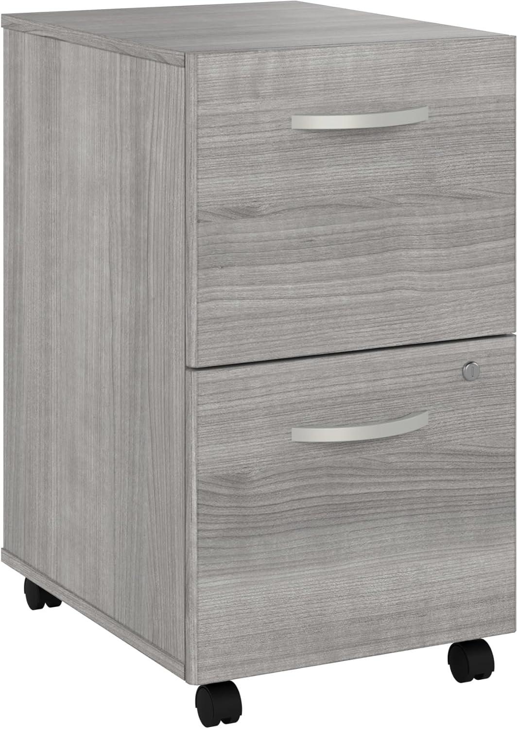 Studio C 16'' Wide 2 -Drawer Mobile File Cabinet