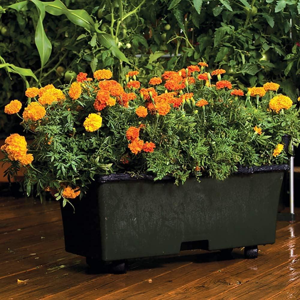 Novelty EarthBox Beginner Friendly, Self-Watering Growing System Garden Kit, Natural, Dark Green