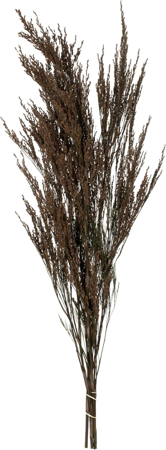 36-40" Natural Brown Reed Grass Bundle Centerpiece