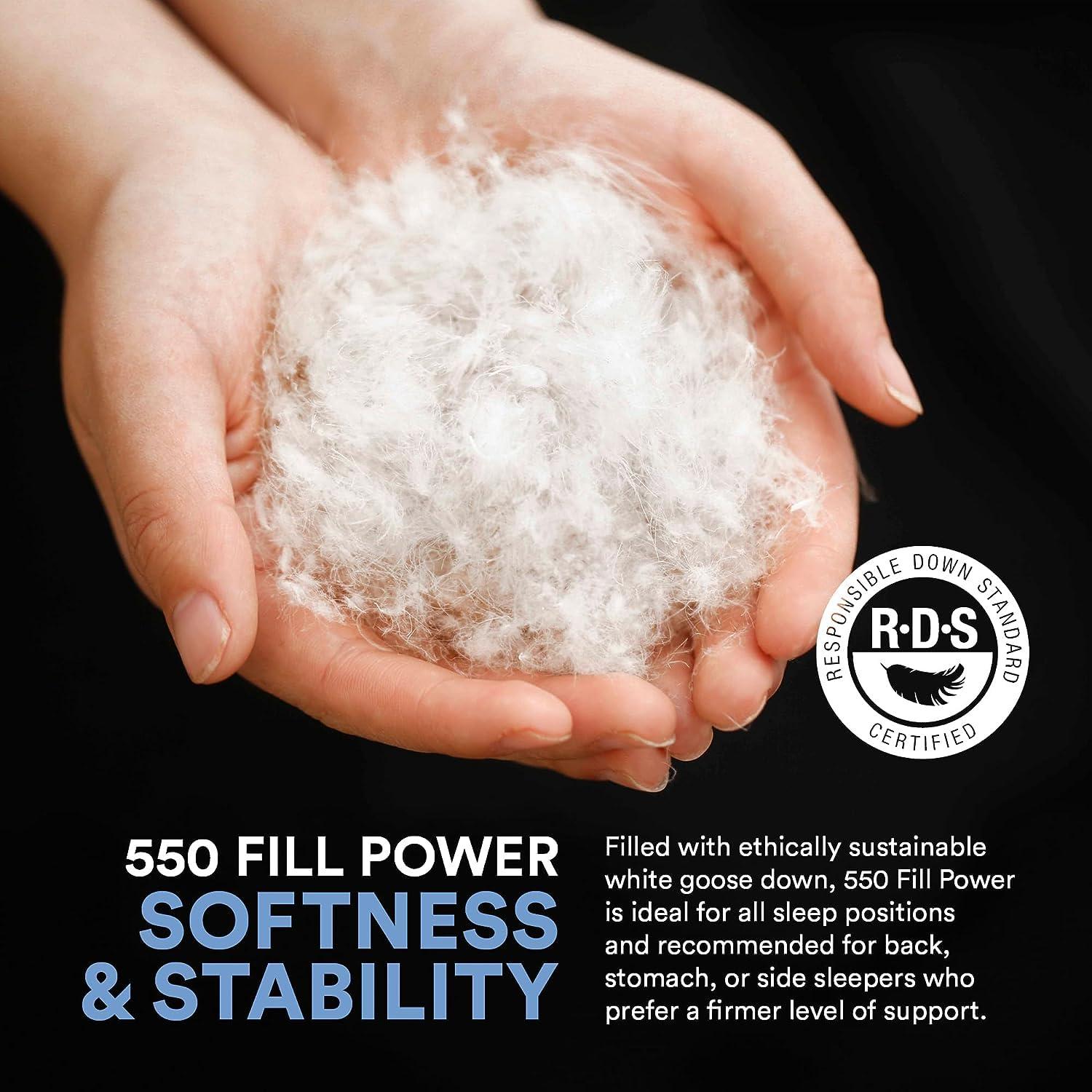 ContinentalBedding Continental Bedding 2-Pack Soft Down Pillows, 550FP, 75% Down 25% Feather, 400TC Cotton Cover