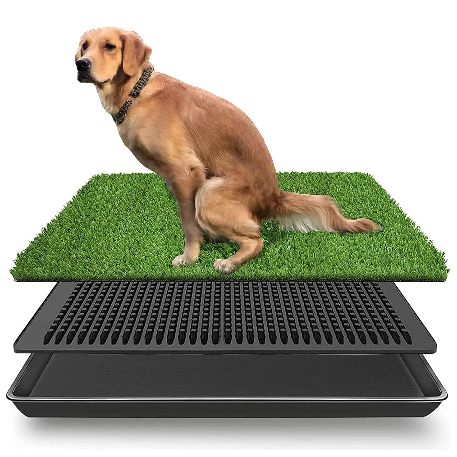 LOMANTOWN Fake Grass Dog Potty Pad Portable Dog Turf Trainer Grass with Tray, 30"x20"