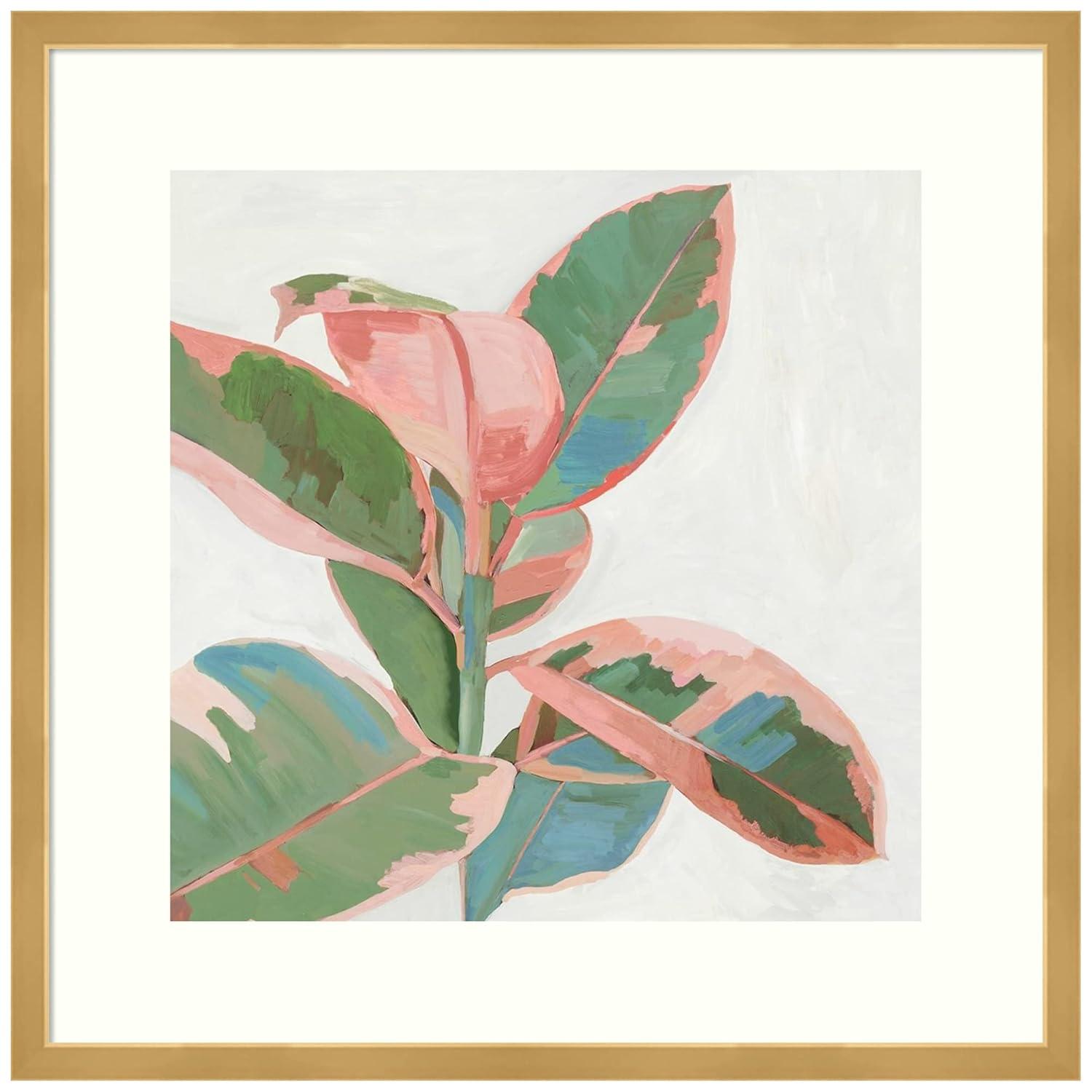 21" x 21" Ficus I by Asia Jensen Framed Wall Art Print Pink - Amanti Art: Modern Hardwood Frame, Botanical Lithograph