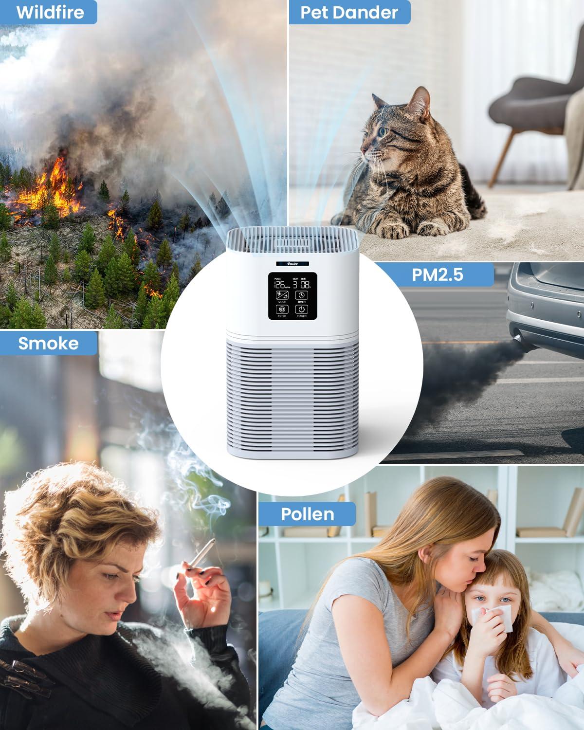 Air Purifiers For Home, HEPA Air Purifiers For Large Room Up To 600 Sq.Ft, H13 True HEPA Air Filter With Fragrance Sponge 6 Timers Quiet Air Cleaner For Pet Dander Wildfire