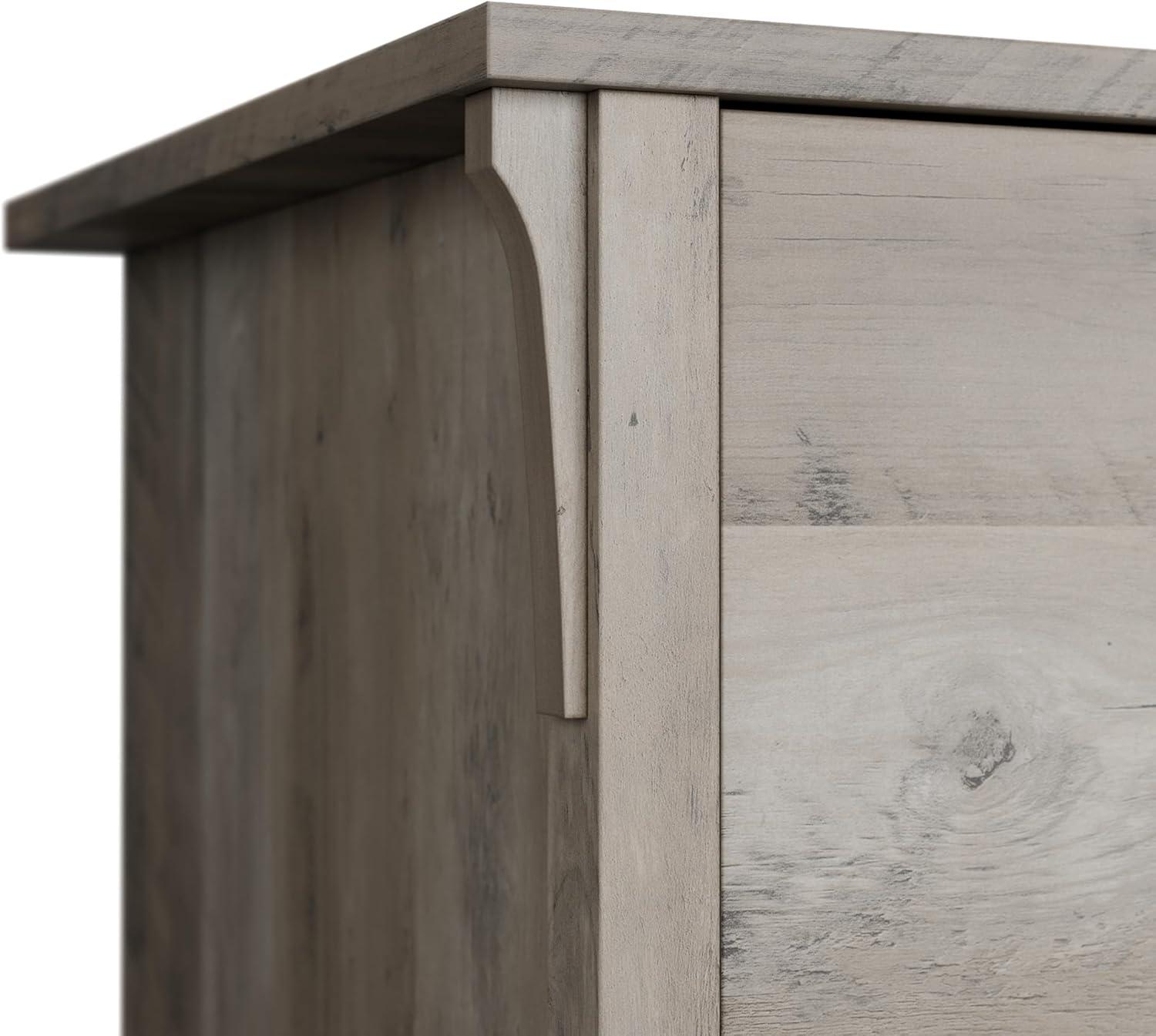 Bush Furniture Salinas Accent Storage Cabinet with Doors, Driftwood Gray