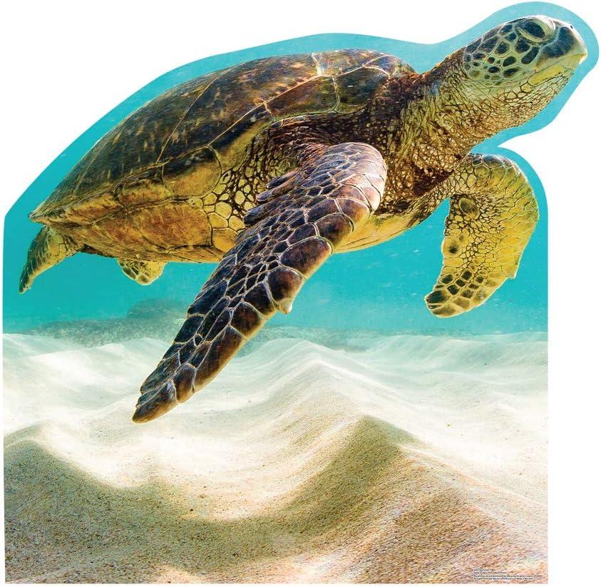 43 x 45 in. Sea Turtle Cardboard Cutout