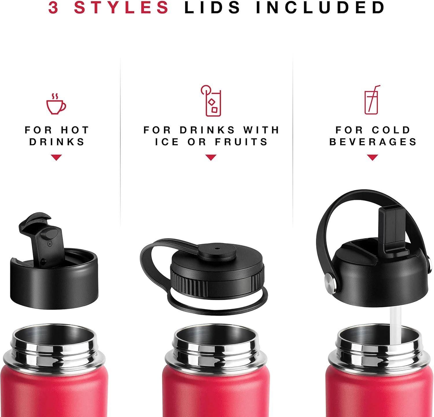 Brewberry Insulated Water Bottle and Travel Mug for Hot and Cold Beverages With Straw