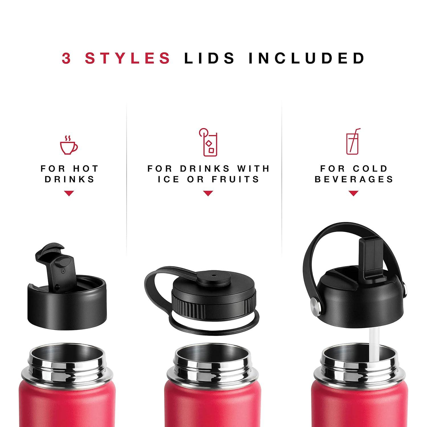 Brewberry Insulated Water Bottle and Travel Mug for Hot and Cold Beverages With Straw