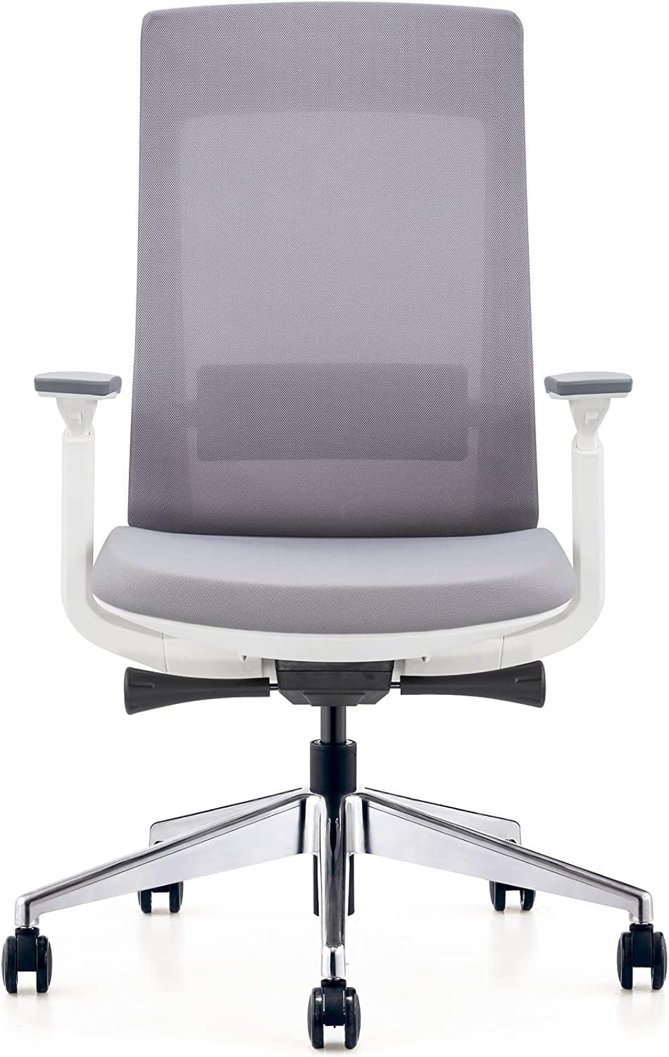 Eurotech Elevate Ergonomic Adjustable Office Chair, White Frame Gray Mesh