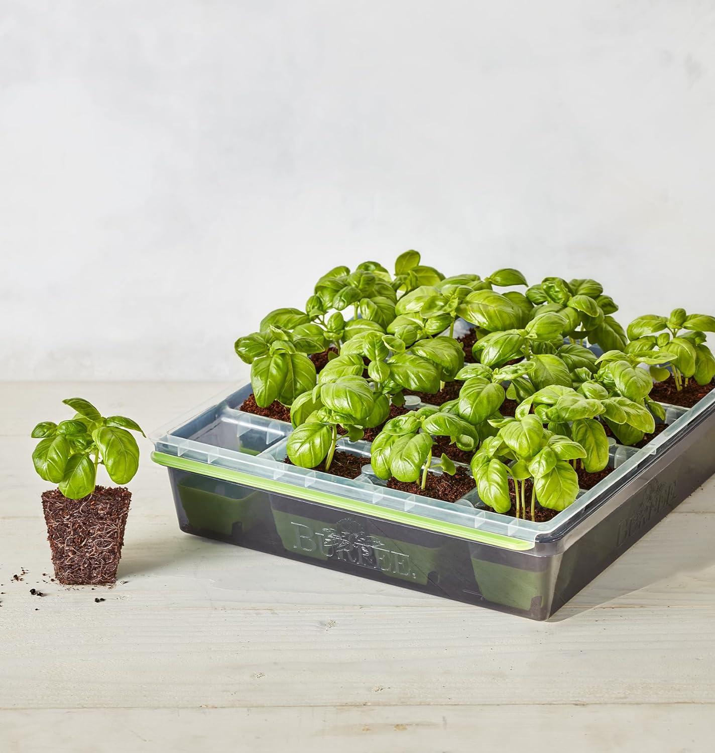 Burpee SuperSeed 16 XL Cell Seed Starting Tray - Reusable and Dishwasher Safe - Growing Tray for Seedlings and Plant Germination