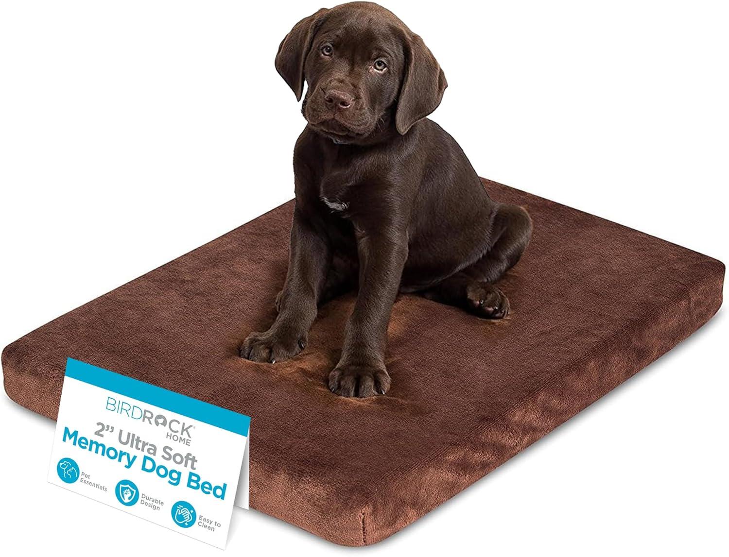 BirdRock Home Orthopedic Polyester Pet Bed