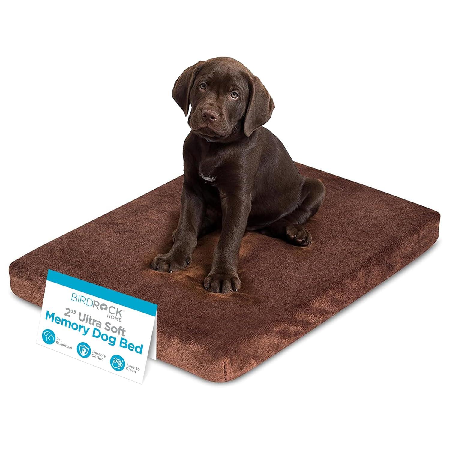 BirdRock Home Orthopedic Polyester Pet Bed