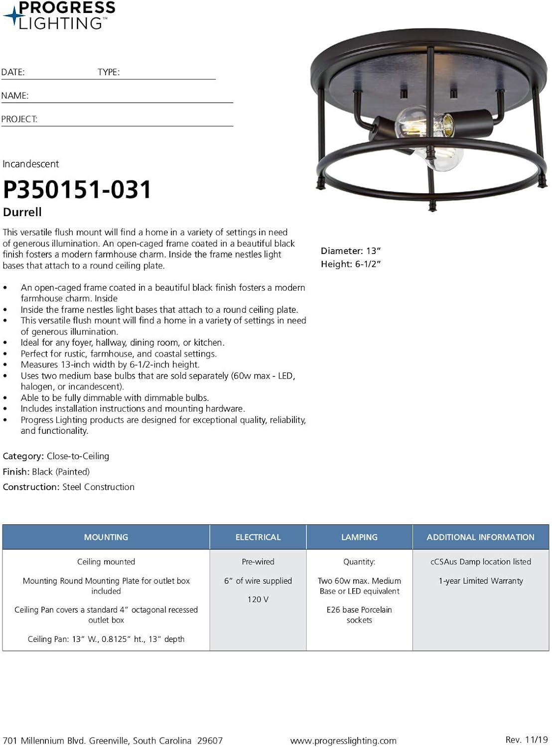 Progress Lighting Durrell 2-Light Flush Mount, Matte Black, Open-Cage, Steel