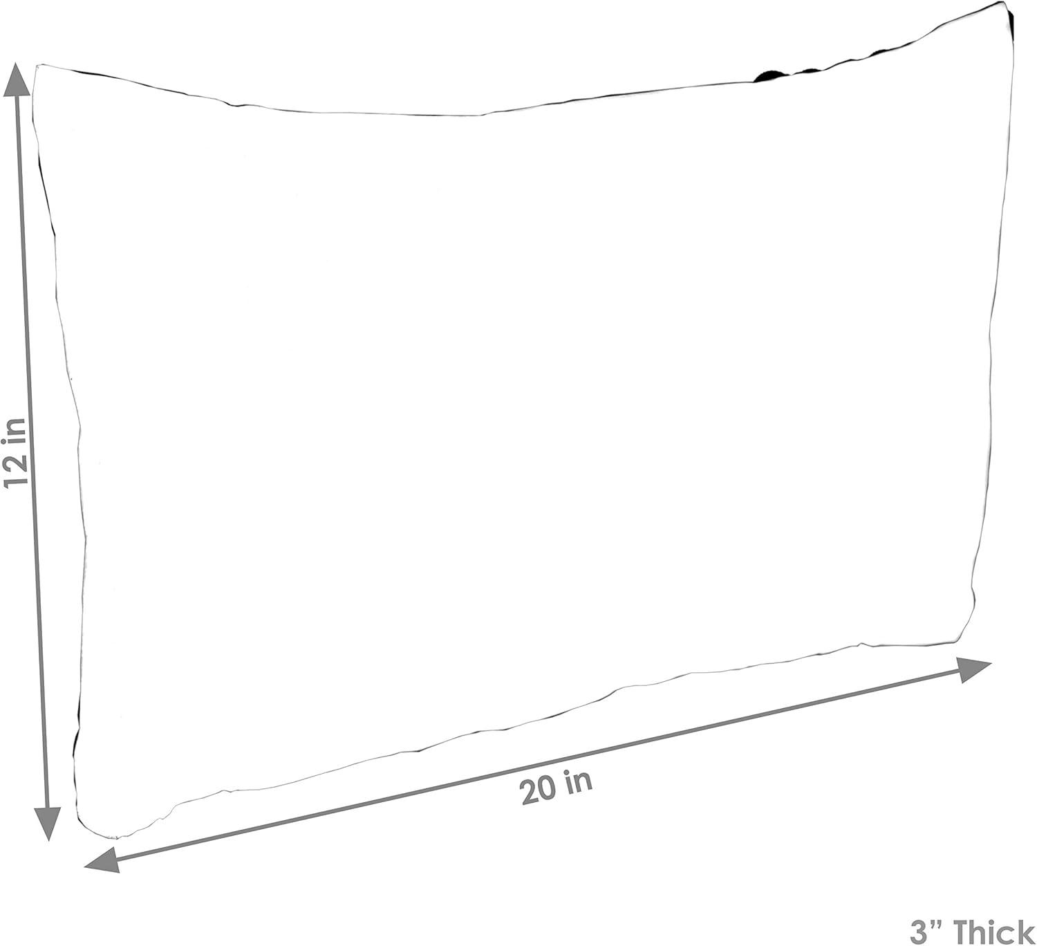 SunnyDaze Decor Indoor/Outdoor Throw Pillow (Set of 2)