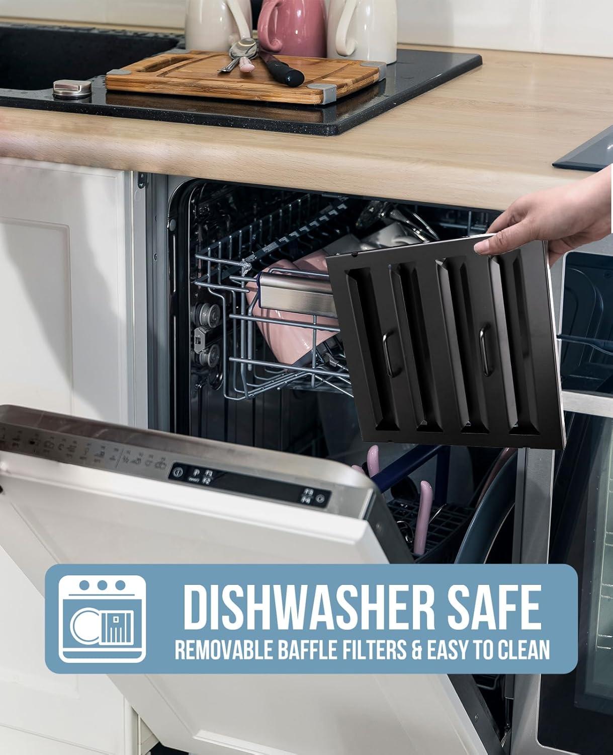 Akicon Akicon Stainless Steel 600 CFM Ducted (Vented) Insert Range Hood with Charcoal Filter